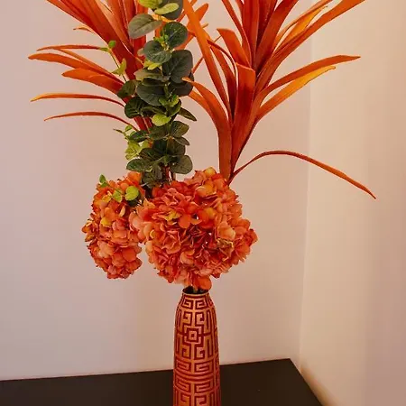 מלון 5ª Vigia Porto de Mós